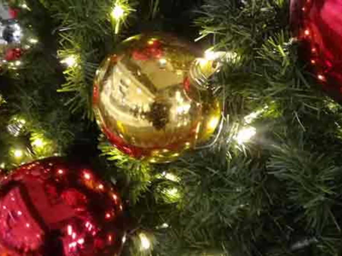 Albero Di Natale 8 Dicembre.Eventi 8 Dicembre 2019 Roma Festa Cioccolato Luminarie Mercatini