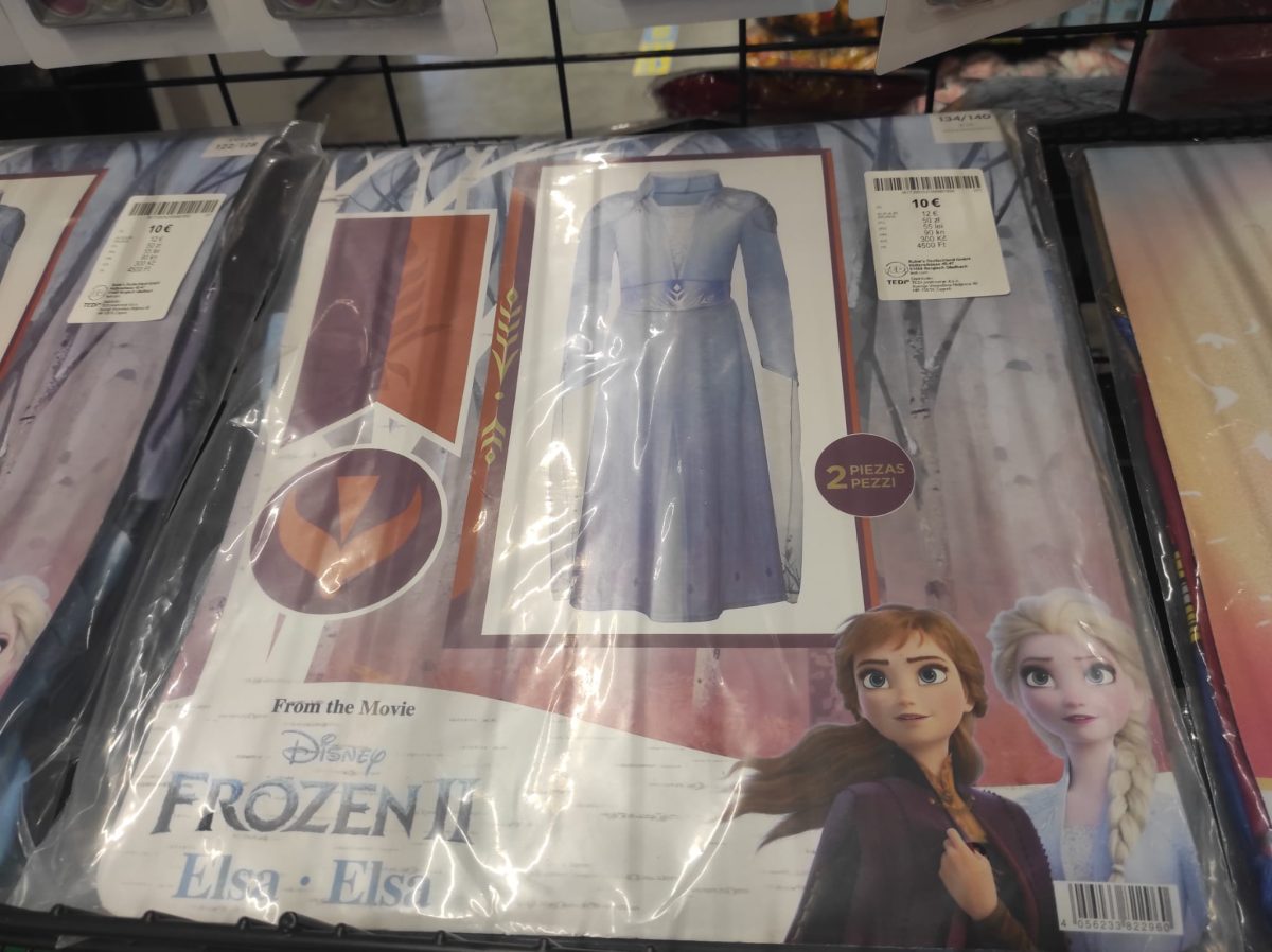 Costumi Carnevale bambini economici a tema Frozen