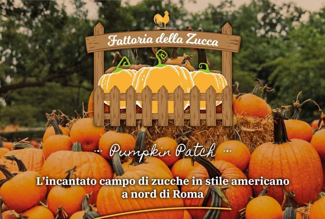 Halloween Roma - Campo di zucche 